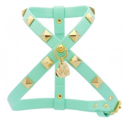 STUDS HARNESS ACQUA...