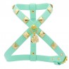 STUDS HARNESS ACQUA ECOLEATHER/GOLD