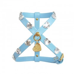 HEARTS HARNESS SKY...