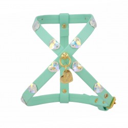 HEARTS HARNESS ACQUA...