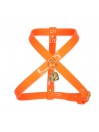 PLAIN HARNESS FLUO ORANGE ECOPAINT/GOLD
