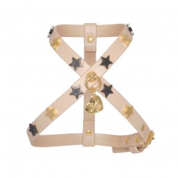 STARS HARNESS COOKIE...
