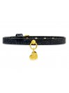 PLAIN COLLAR GLITTER BLACK ECOPAINT/GOLD