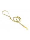 PLAIN LEASH GLITTER PLATINUM ECOPAINT/GOLD