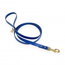 SIMPLE LEASH BLUE...