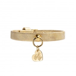 PLAIN COLLAR ORO POLAR...