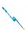 PLAIN LEASH METAL TURQUOISE/GOLD