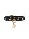 CHATON RIVETS COLLAR BLACK/GOLD