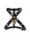 CHATON RIVETS HARNESS BLACK/GOLD