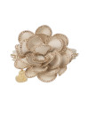 DIAMOND FLOWER COLLAR CREAM SUEDE/GOLD