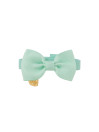 PAPILLON TIE COLLAR ACQUA