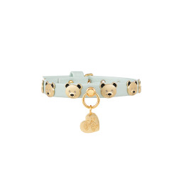 TEDDY STUDS COLLAR SUGAR ACQUA