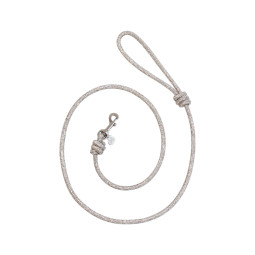 SPARKLE LEASH...