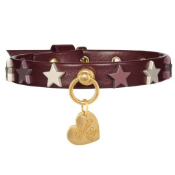 STARS STUDS COLLAR...