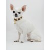 HEARTS COLLAR COGNAC ALCANTARA/GOLD