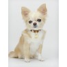 HEARTS COLLAR COGNAC ALCANTARA/GOLD