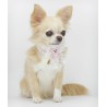 PEARLESCENT TEDDY COLLAR BABY PINK ECOPATENT/GOLD