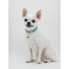 HEARTS COLLAR EMERALD ECOPATENT/GOLD
