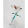 HEARTS HARNESS EMERALD ECOPATENT/GOLD