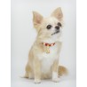 STUD COLLAR RED ECOLEATHER/GOLD