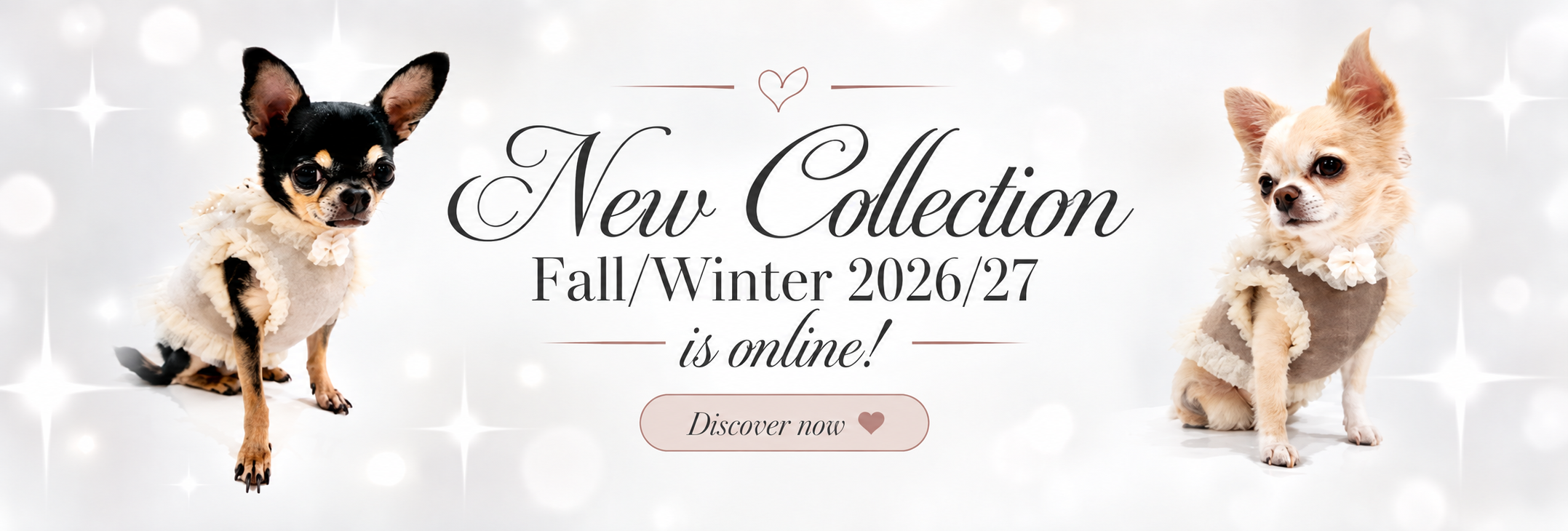 new collection